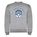 Sudadera Facultad CC. Ambientales